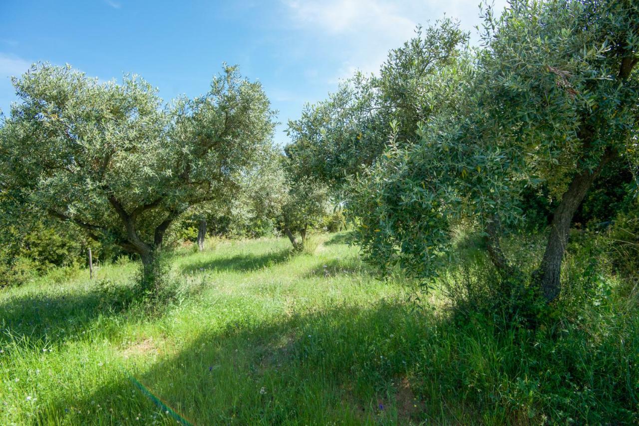 Avaton Farm Βίλα Ουρανούπολη Εξωτερικό φωτογραφία